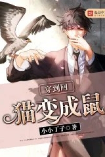 Xuyên Đáo Hồi Miêu Biến Thành Thử